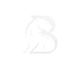 Brand Panther Logo